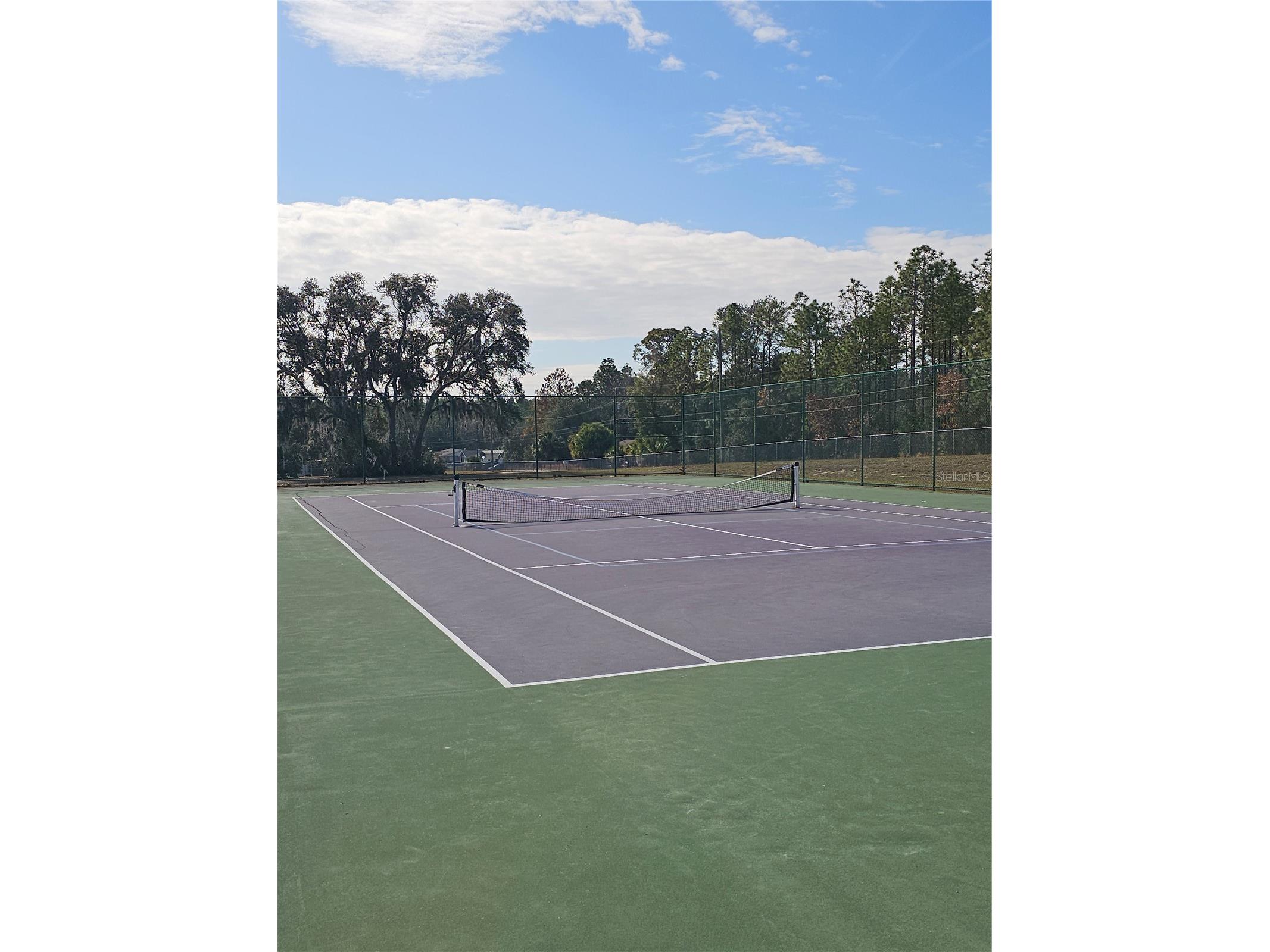 TBD SE 136th Terrace Dunnellon FL 34431 OM715673 image7