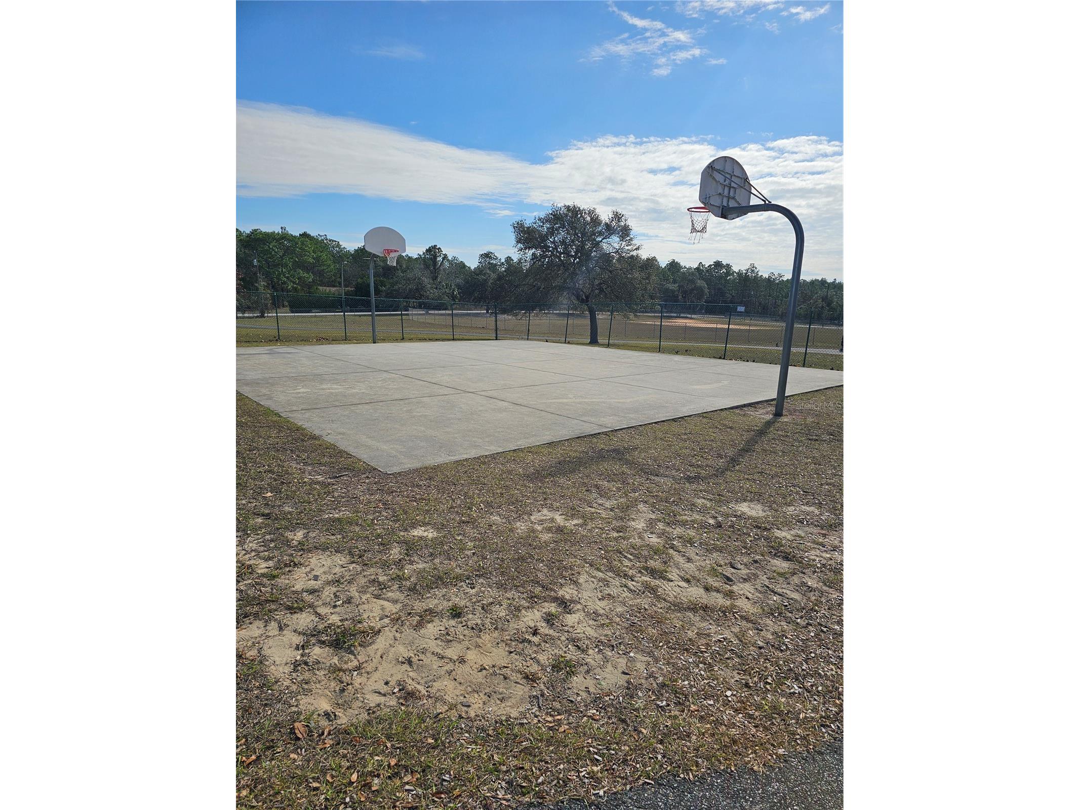 TBD SE 136th Terrace Dunnellon FL 34431 OM715673 image8