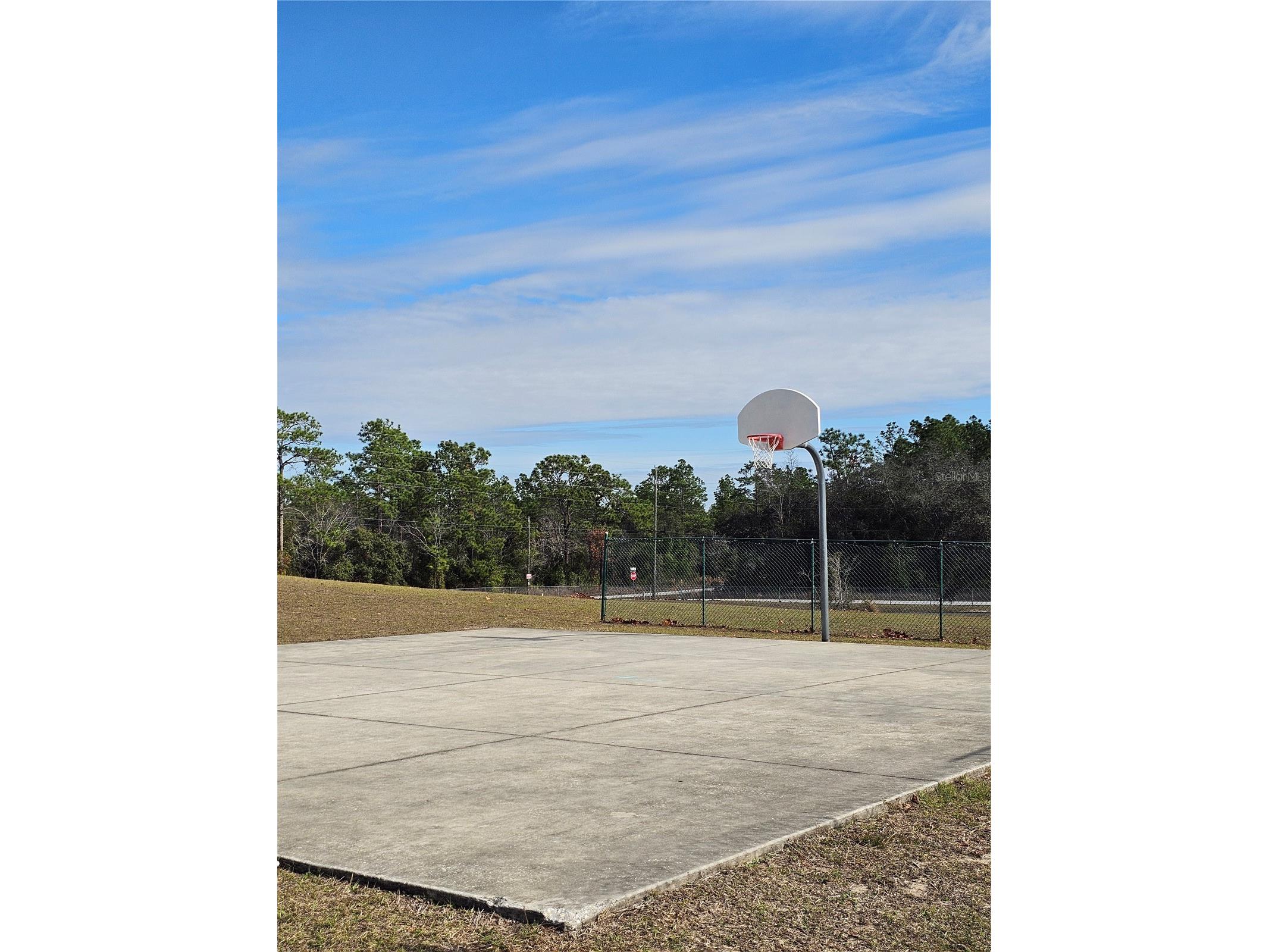 TBD SE 136th Terrace Dunnellon FL 34431 OM715673 image9