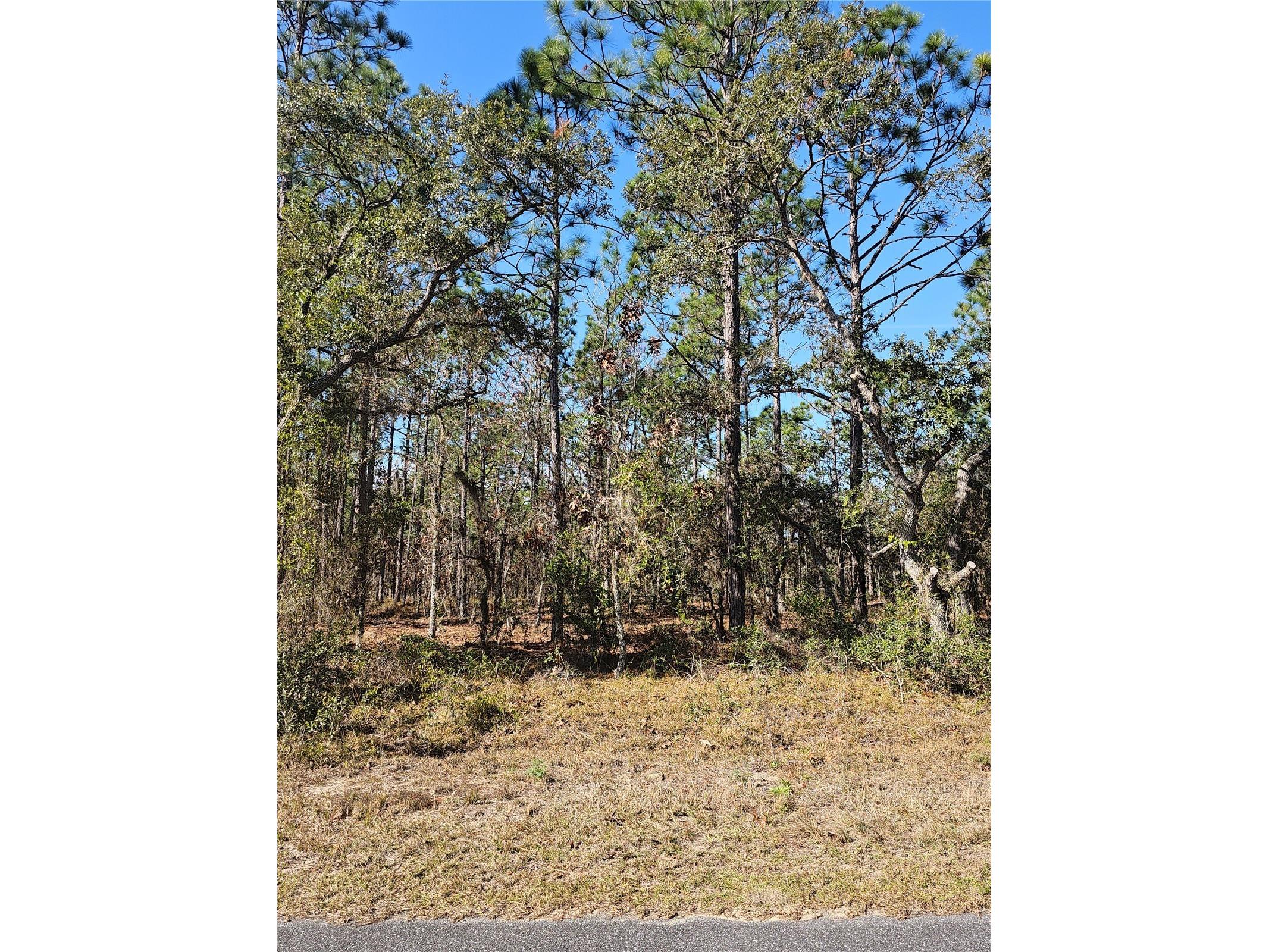 TBD SE 136th Terrace Dunnellon FL 34431 OM715683 image1