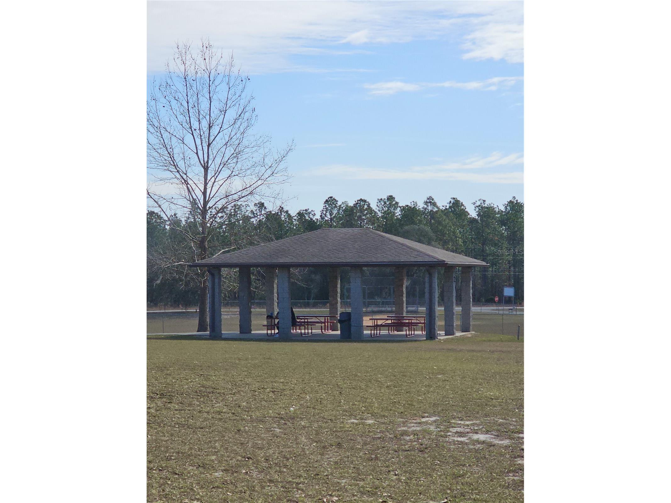 TBD SE 136th Terrace Dunnellon FL 34431 OM715683 image13