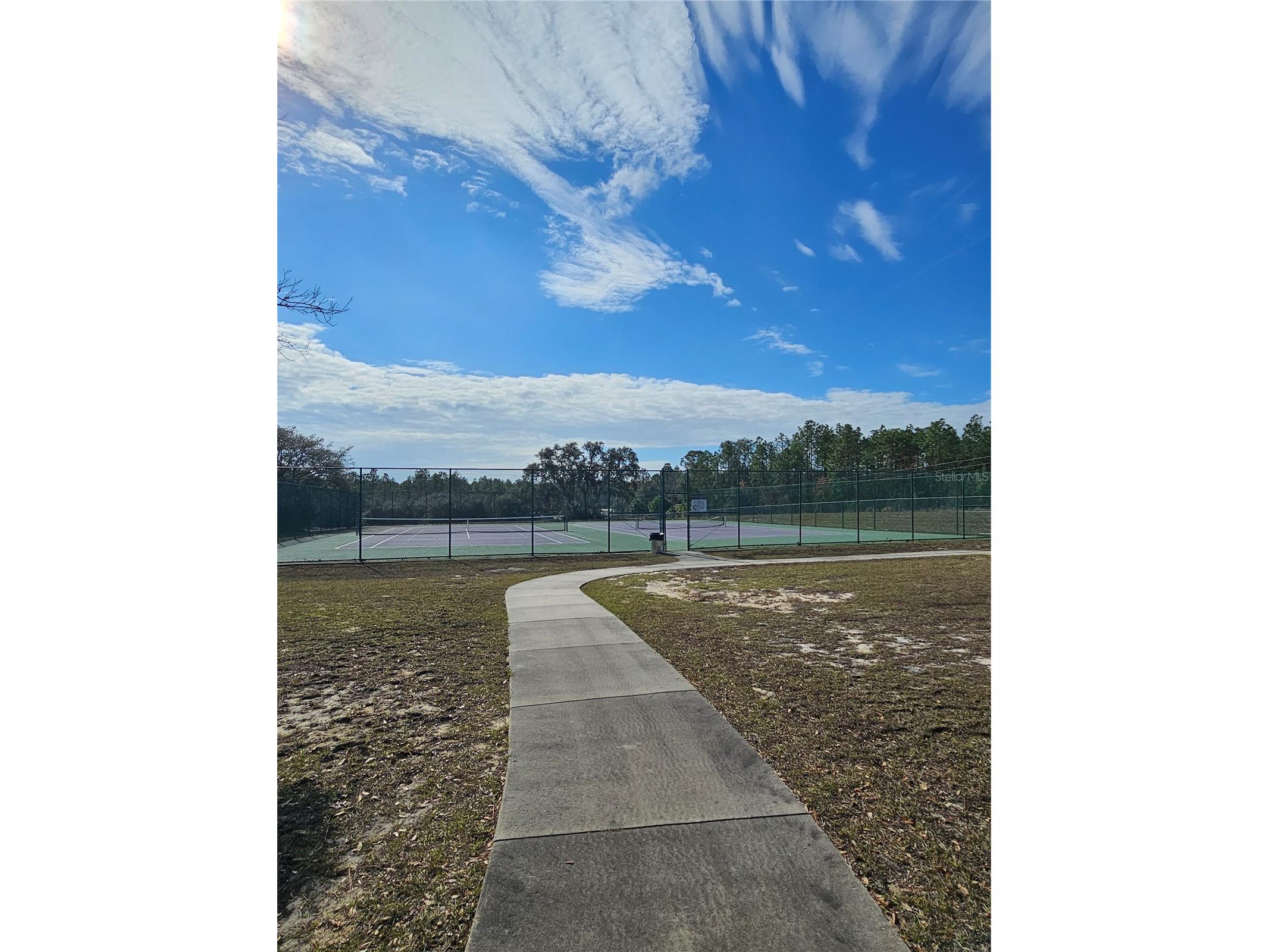 TBD SE 136th Terrace Dunnellon FL 34431 OM715683 image6