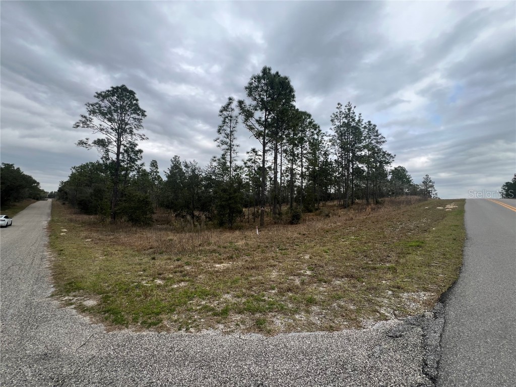 TBD SE 139th Court Dunnellon FL 34431 OM673665 image1