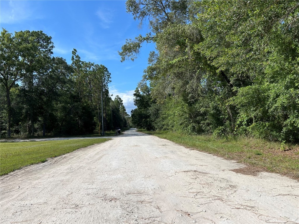TBD SE 140 Avenue Morriston FL 32668 OM711931 image2