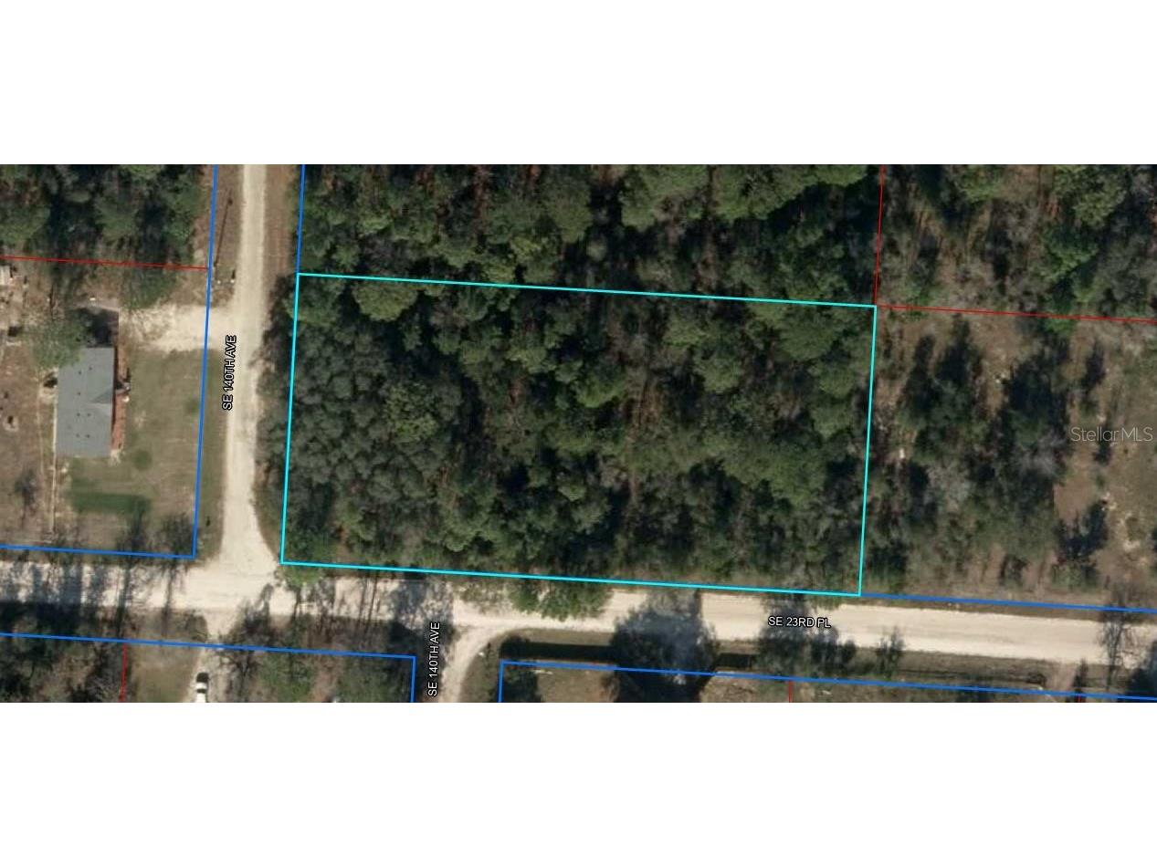 TBD SE 140 Avenue Morriston FL 32668 OM711931 image5
