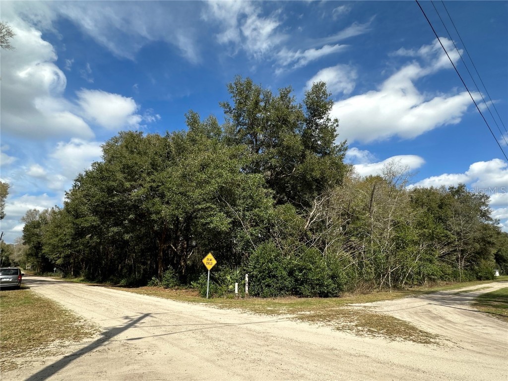 TBD SE 142 Lane Summerfield FL 34491 OM665466 image1