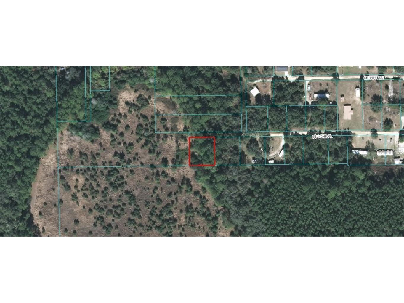 TBD SE 142nd Place Umatilla FL 32784 OM648375 image1