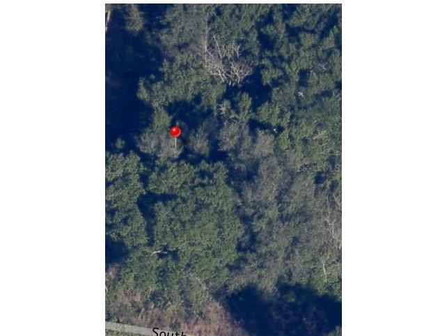 TBD SE 143rd Lane Summerfield FL 34491 G5077804 image1