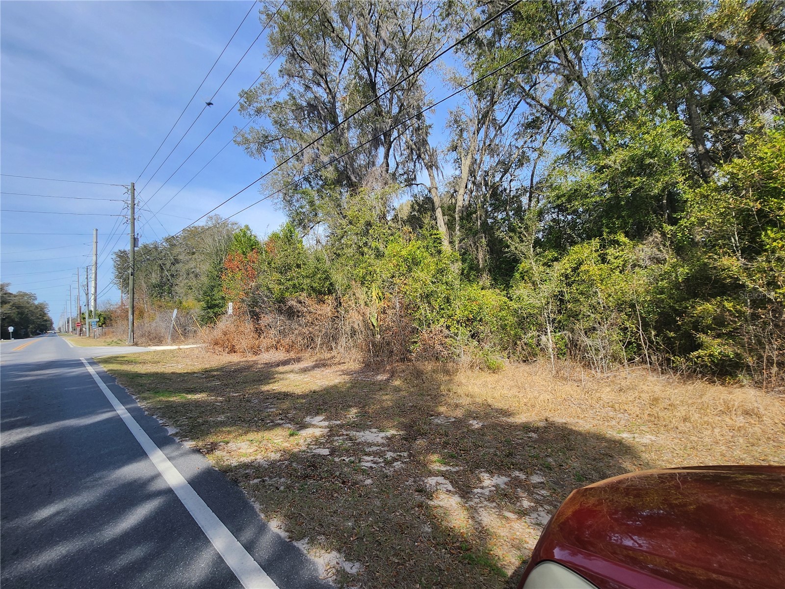 TBD SE 145 Street Summerfield FL 34491 OM721015 image1