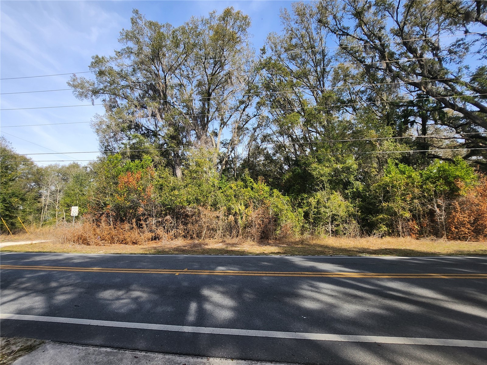 TBD SE 145 Street Summerfield FL 34491 OM721015 image2