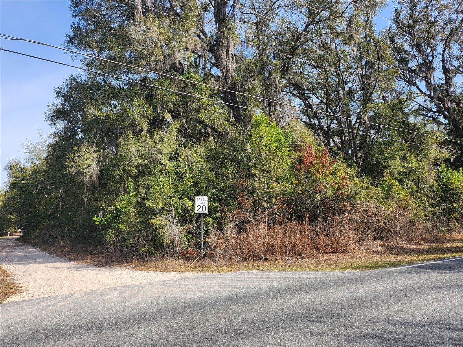 TBD SE 145 Street Summerfield FL 34491 OM721015 image4