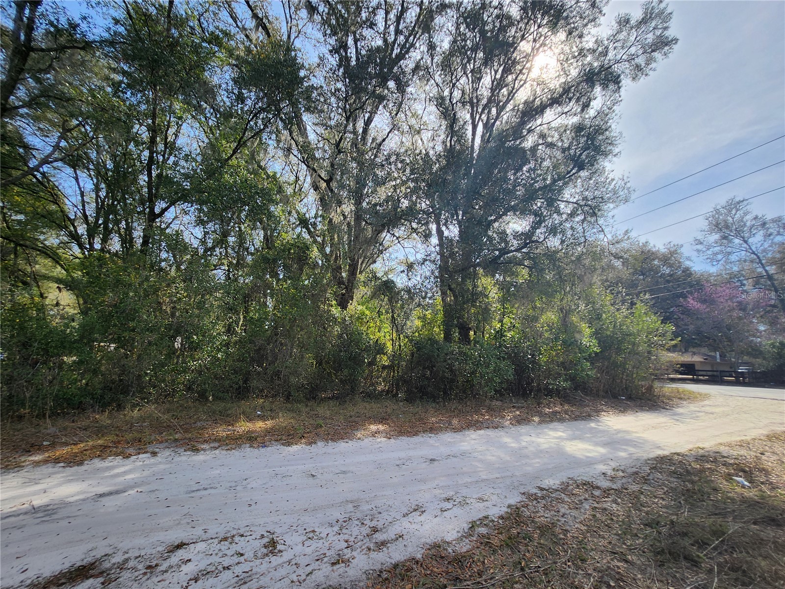 TBD SE 145 Street Summerfield FL 34491 OM721015 image5