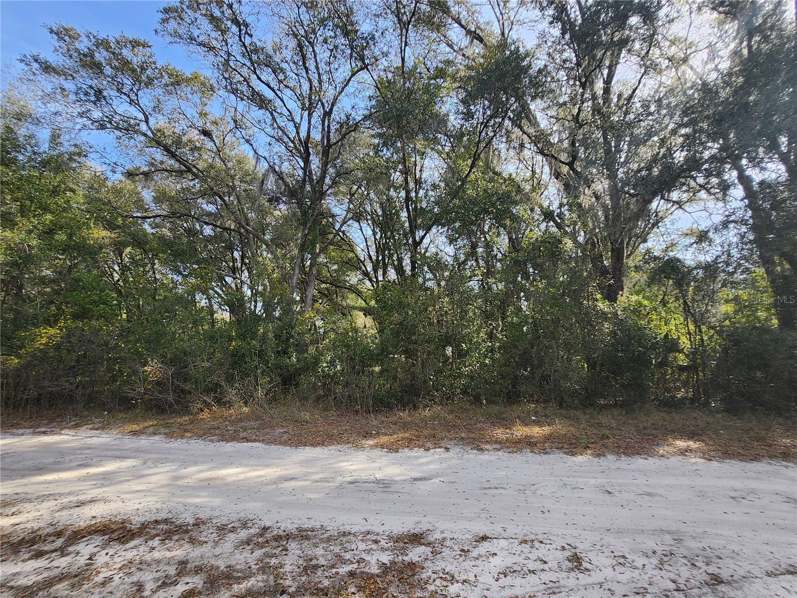 TBD SE 145 Street Summerfield FL 34491 OM721015 image6