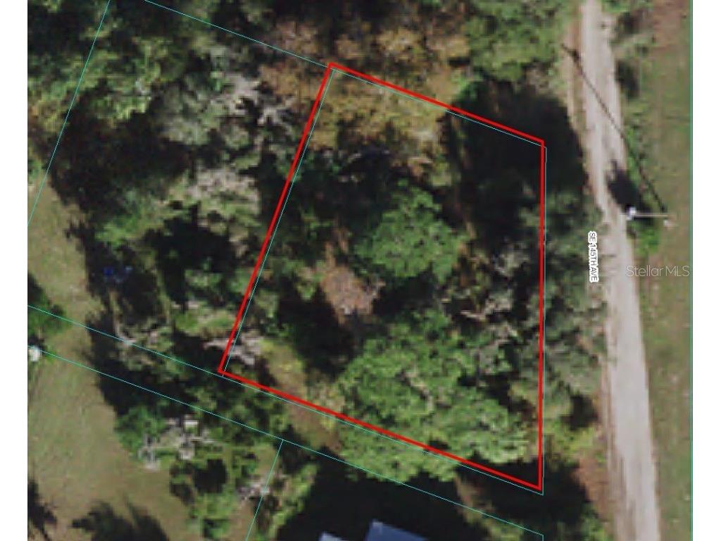 TBD SE 145th Avenue Weirsdale FL 32195 OM641538 image1
