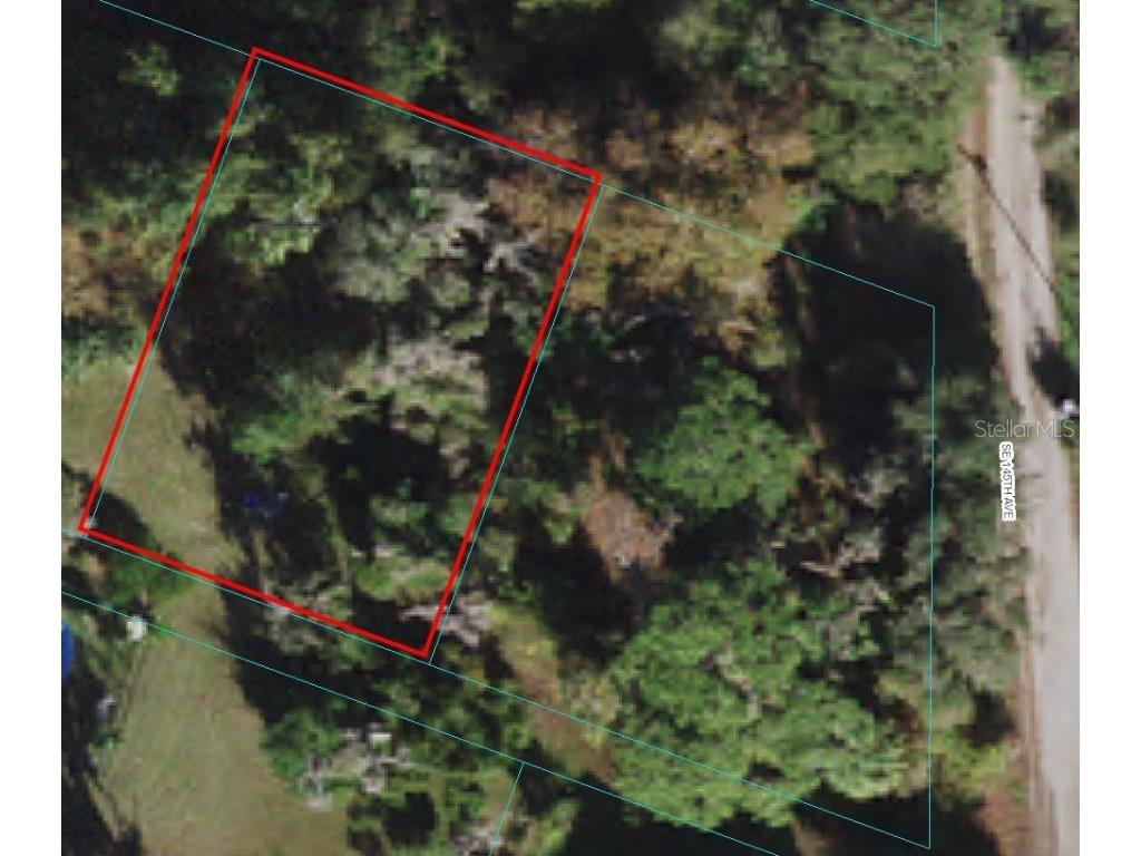 TBD SE 145th Avenue Weirsdale FL 32195 OM641547 image1