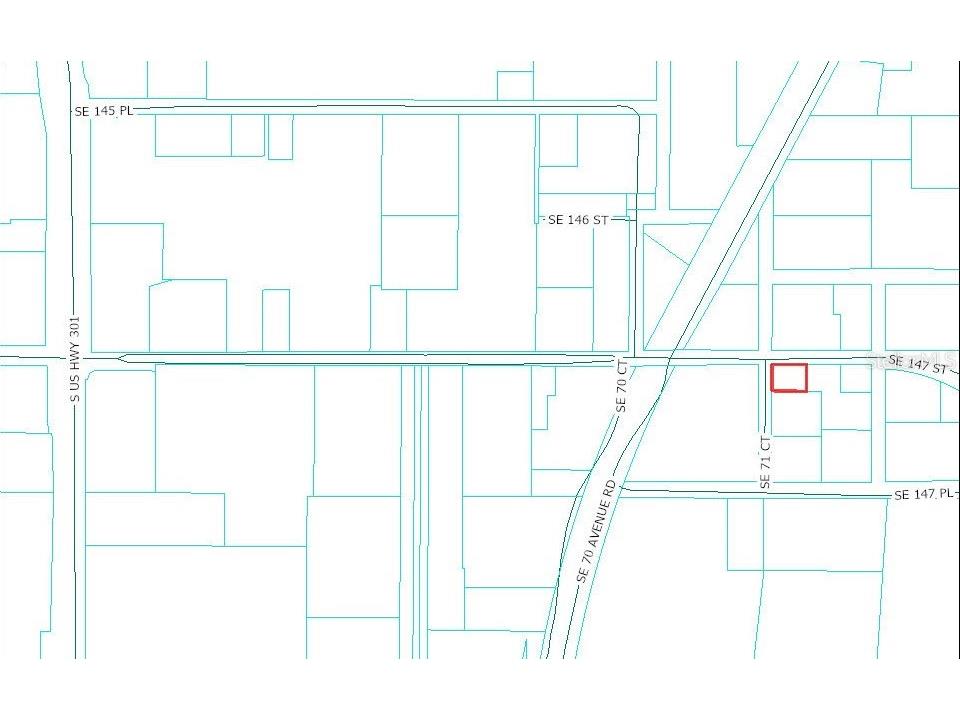 TBD SE 147th Street Summerfield FL 34491 OM722773 image4