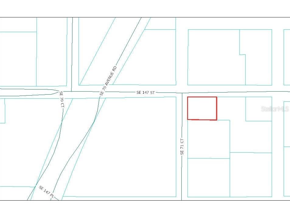 TBD SE 147th Street Summerfield FL 34491 OM722773 image5