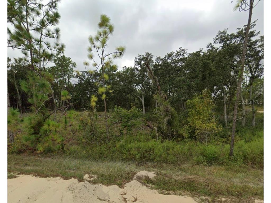 TBD SE 148 Avenue Williston FL 32696 OM707621 image2