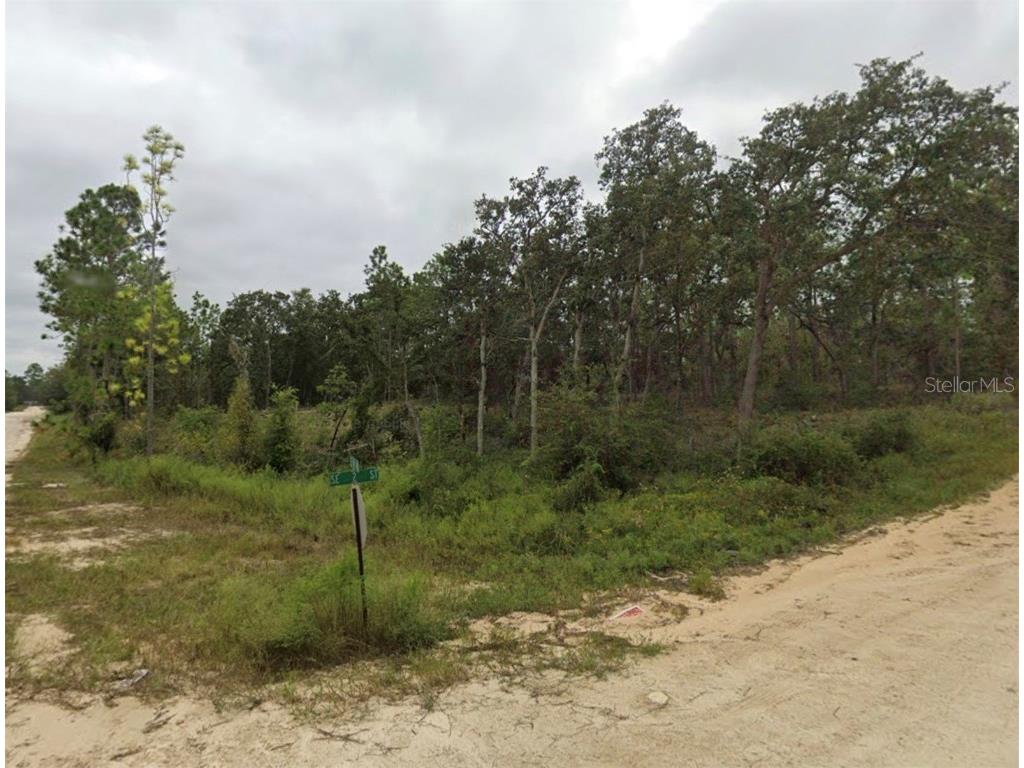 TBD SE 148 Avenue Williston FL 32696 OM707621 image3