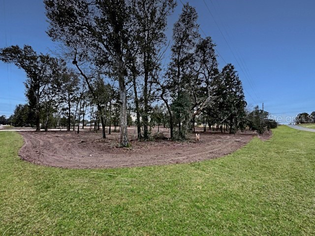TBD SE 148th Terrace Morriston FL 32668 OM723187 image2