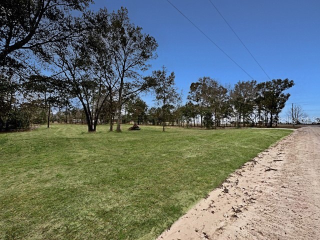 TBD SE 148th Terrace Morriston FL 32668 OM723187 image3