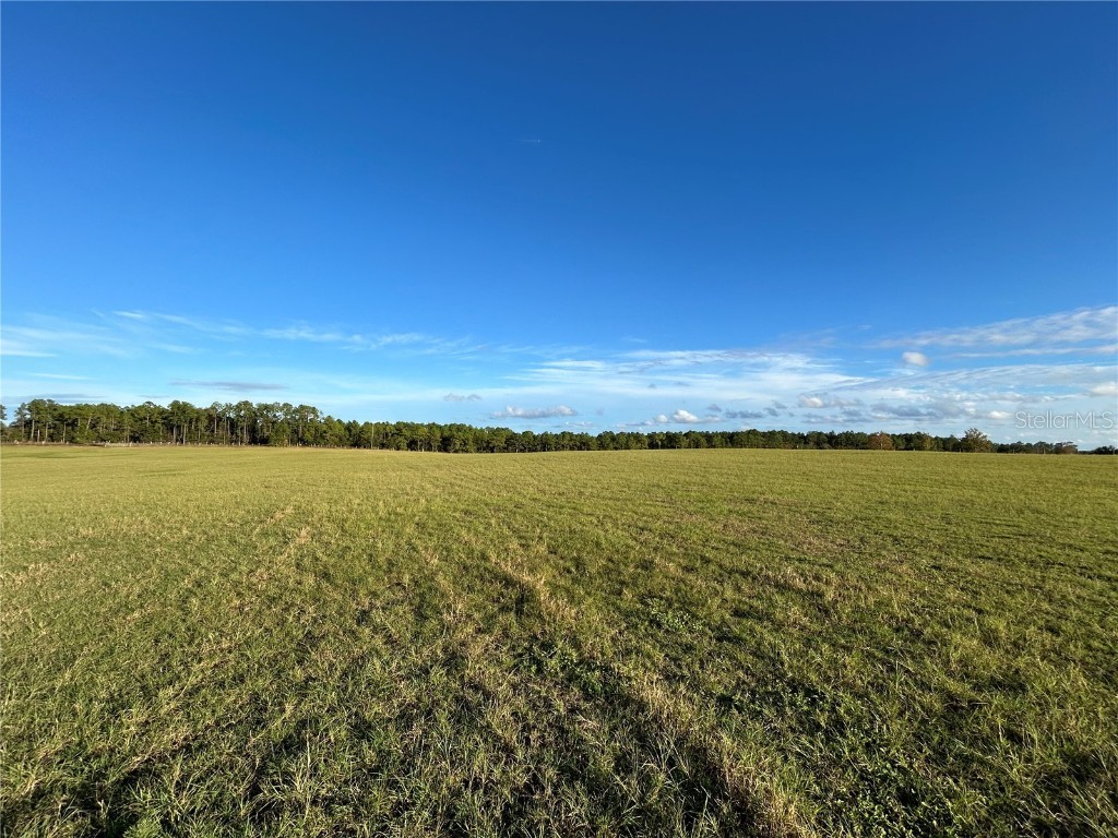 TBD SE 150th Avenue Morriston FL 32668 OM713212 image4