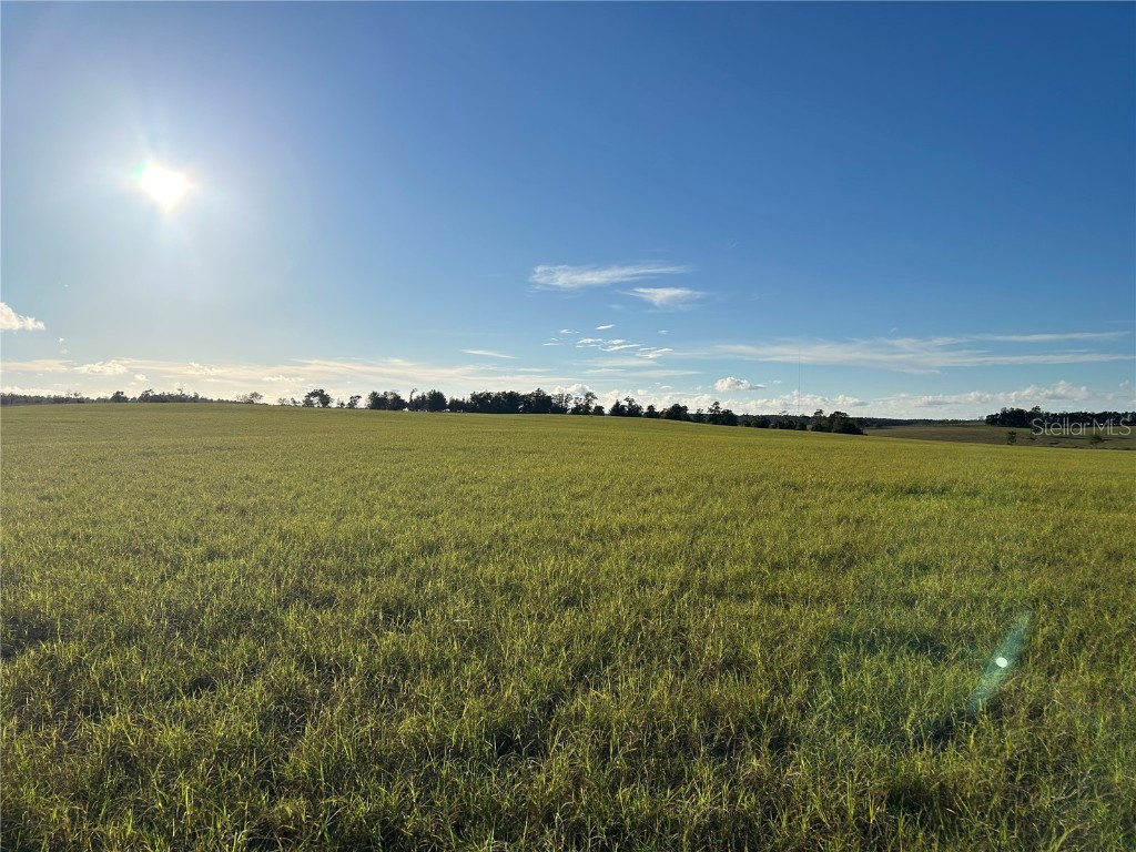 TBD SE 150th Avenue Morriston FL 32668 OM713212 image5