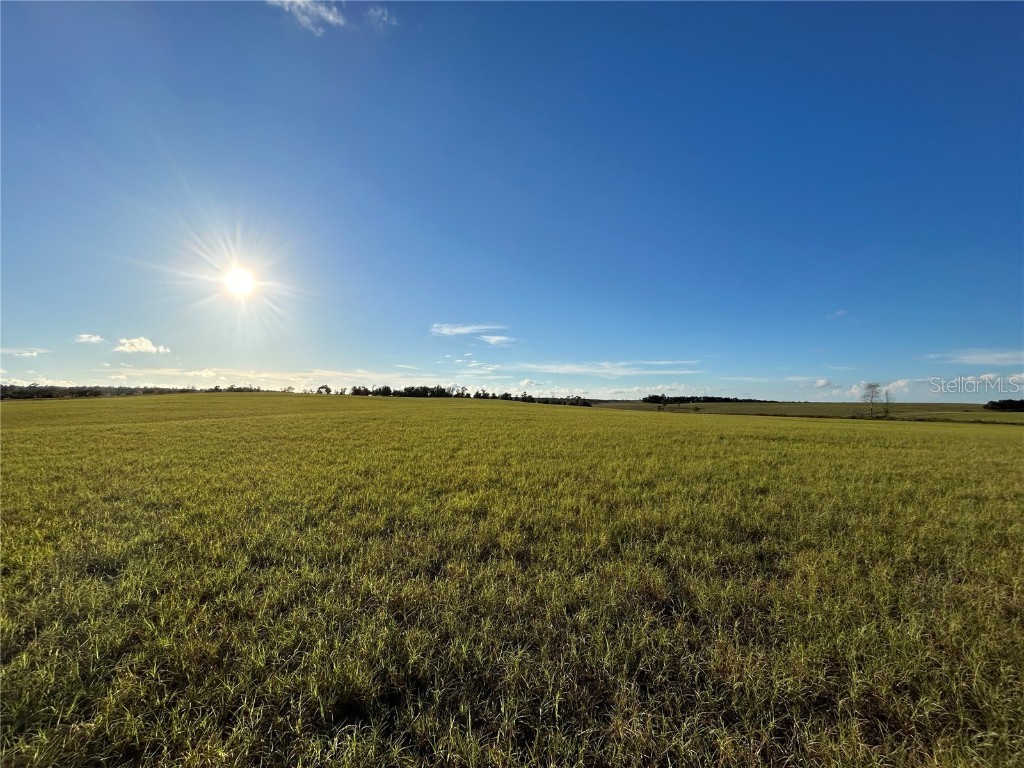 TBD SE 150th Avenue Morriston FL 32668 OM713212 image6