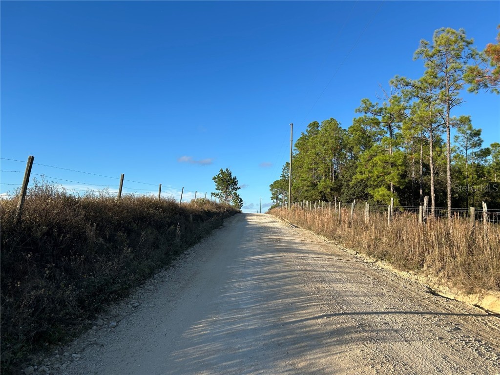 TBD SE 150th Avenue Morriston FL 32668 OM713212 image7