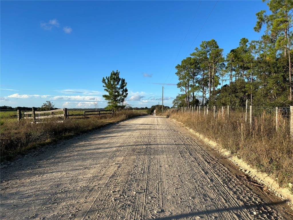 TBD SE 150th Avenue Morriston FL 32668 OM713212 image9