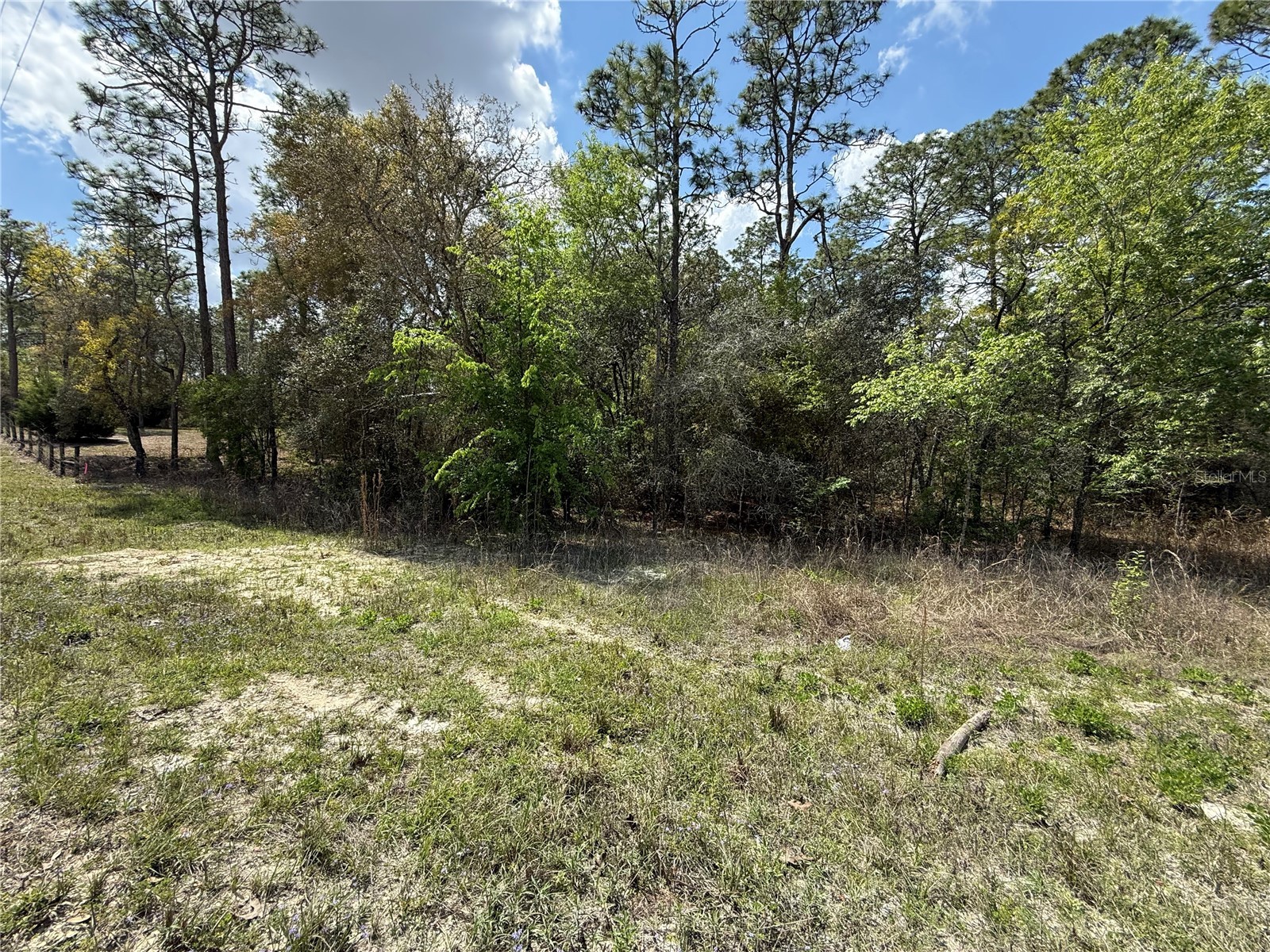 TBD SE 150th Avenue Morriston FL 32668 OM720868 image2