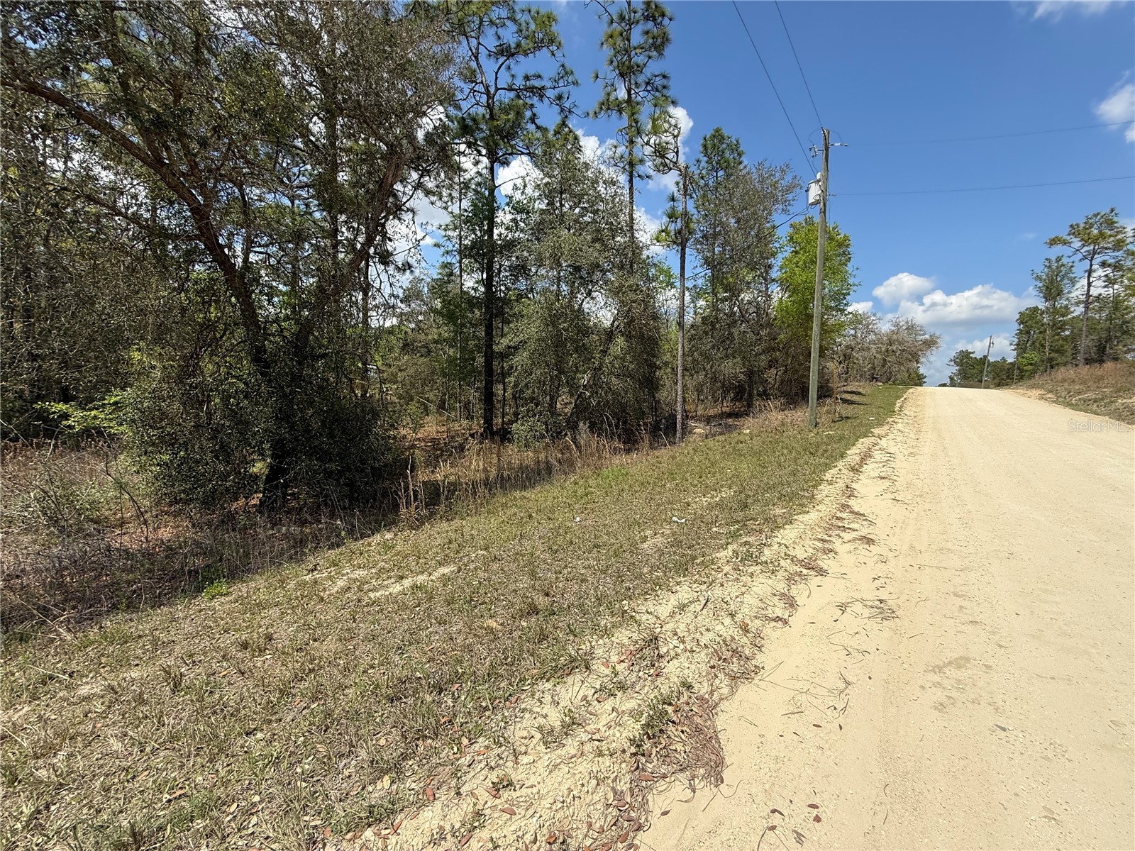 TBD SE 150th Avenue Morriston FL 32668 OM720868 image3