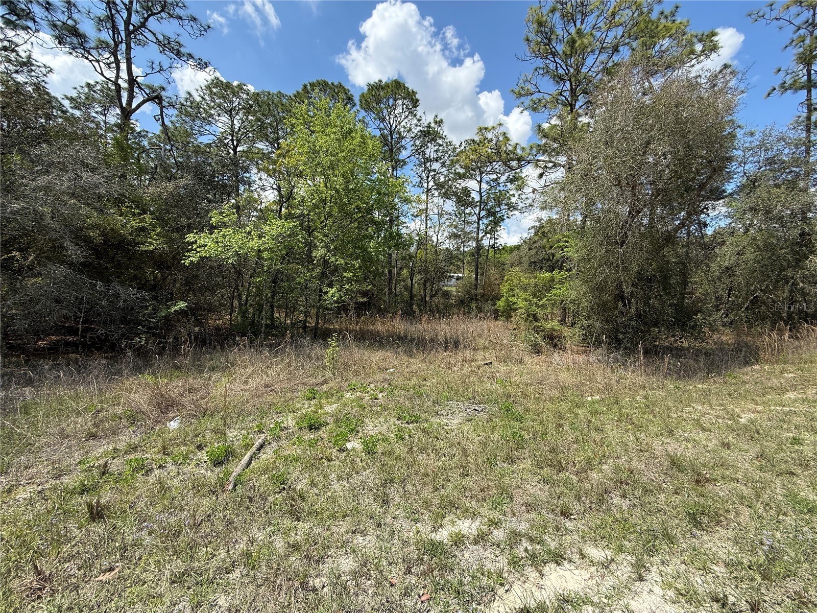 TBD SE 150th Avenue Morriston FL 32668 OM720868 image4