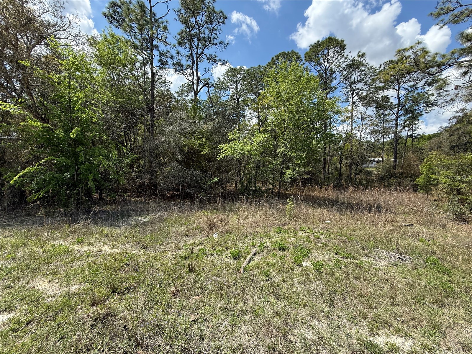 TBD SE 150th Avenue Morriston FL 32668 OM720868 image5