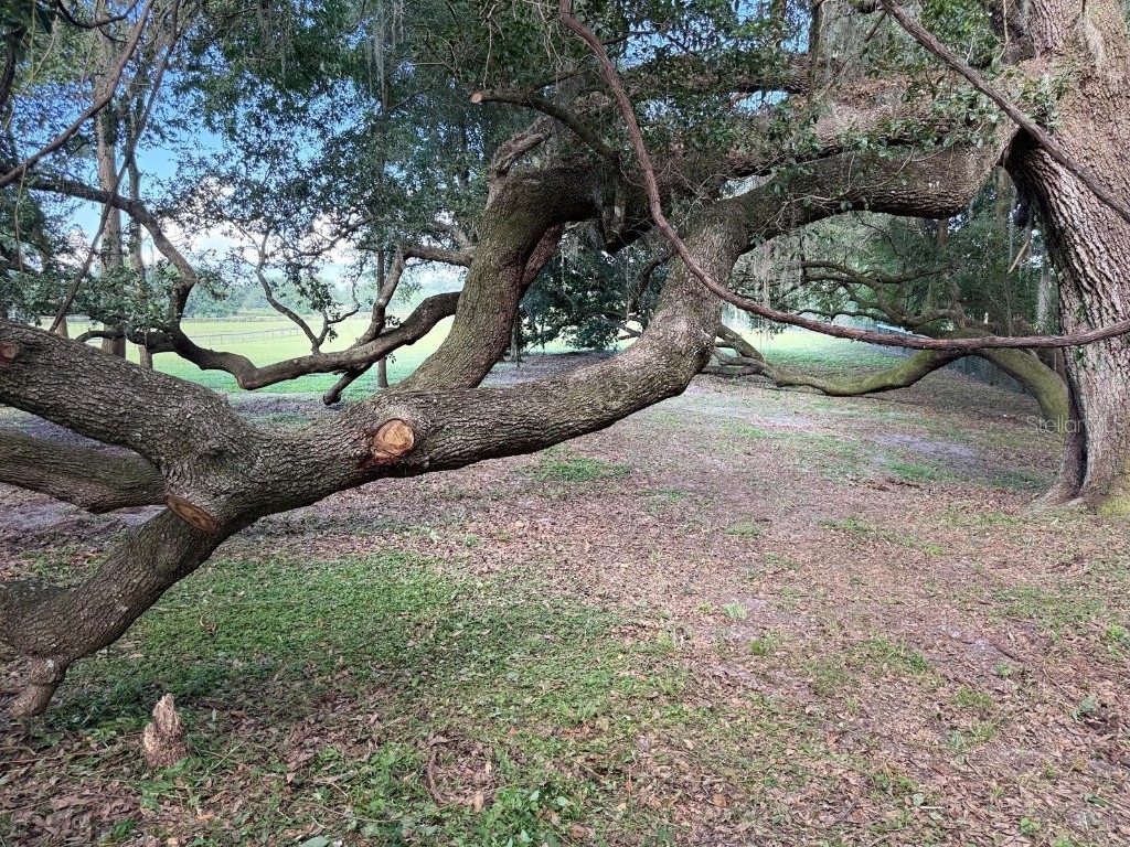 TBD SE 150th St Summerfield FL 34491 OM705686 image15