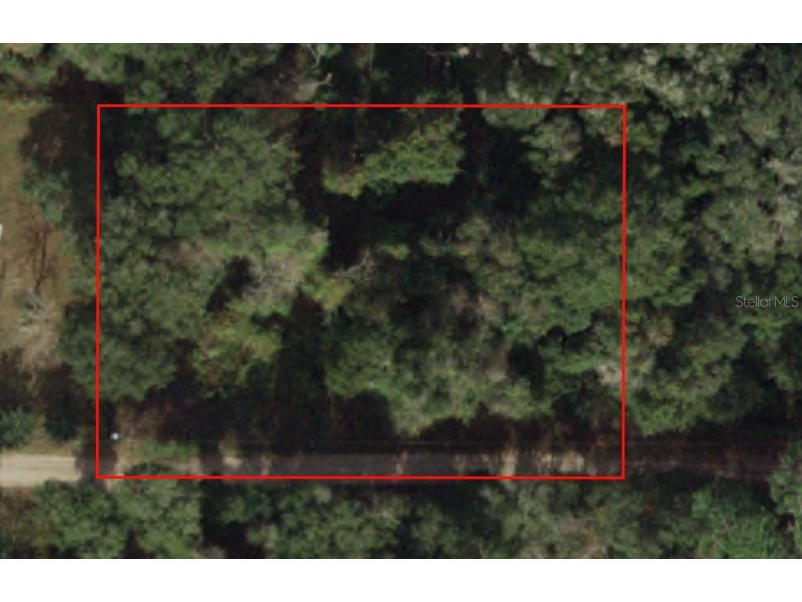 TBD SE 156th St Umatilla FL 32784 OM671757 image1