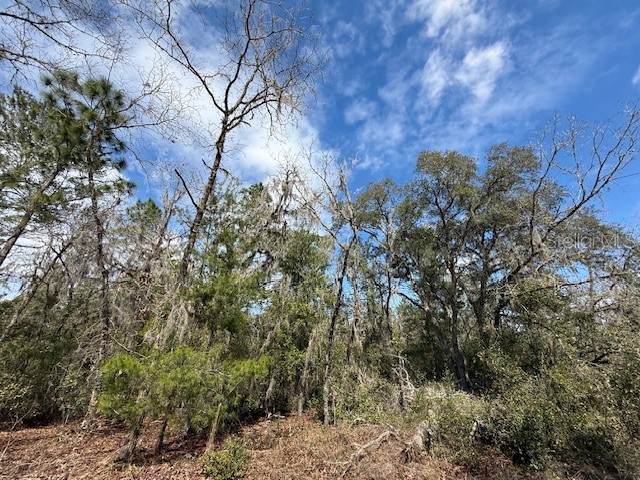 TBD SE 158th Lane Dunnellon FL 34432 OM695345 image1