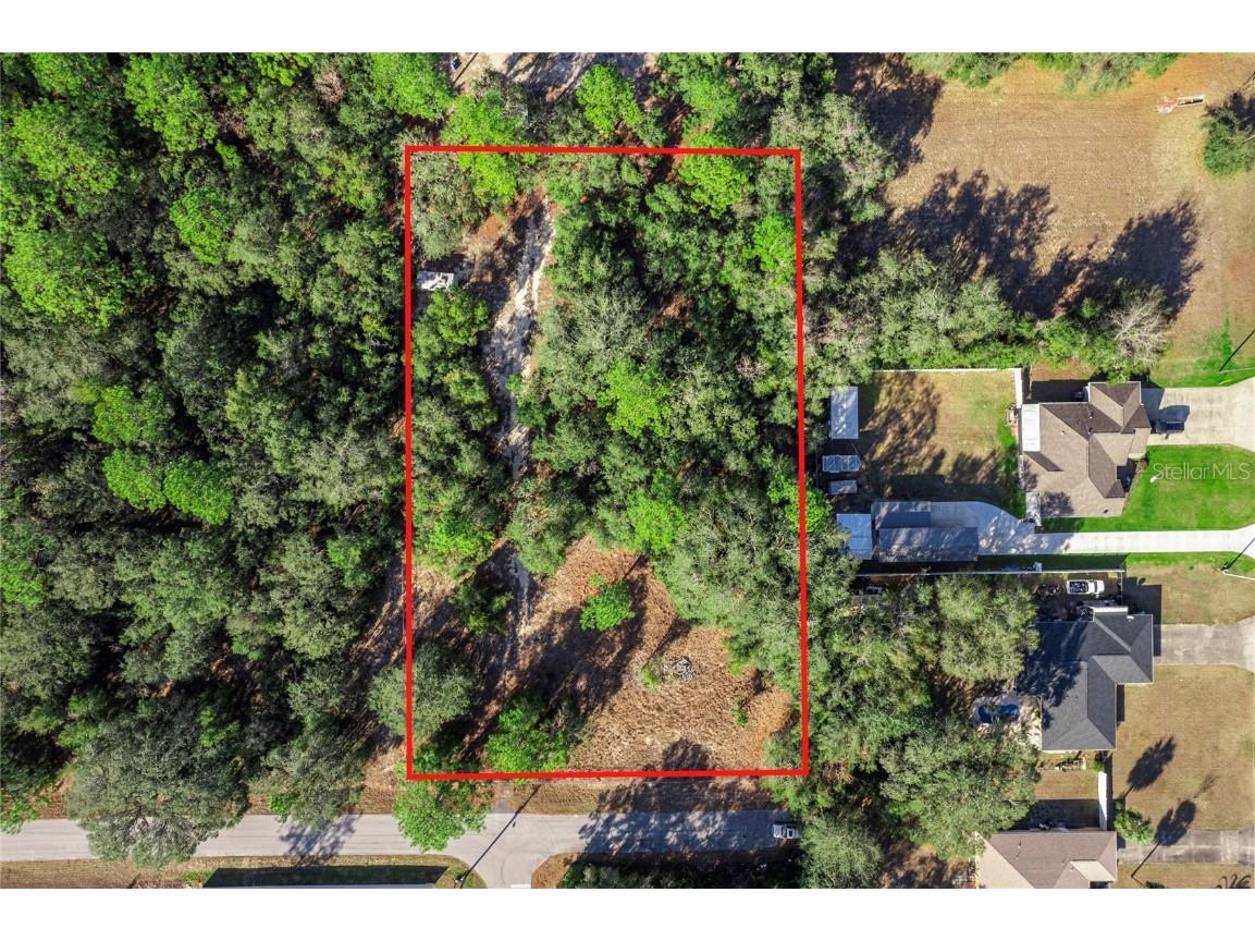 TBD Se 162nd Pl Summerfield FL 34491 G5091762 image1