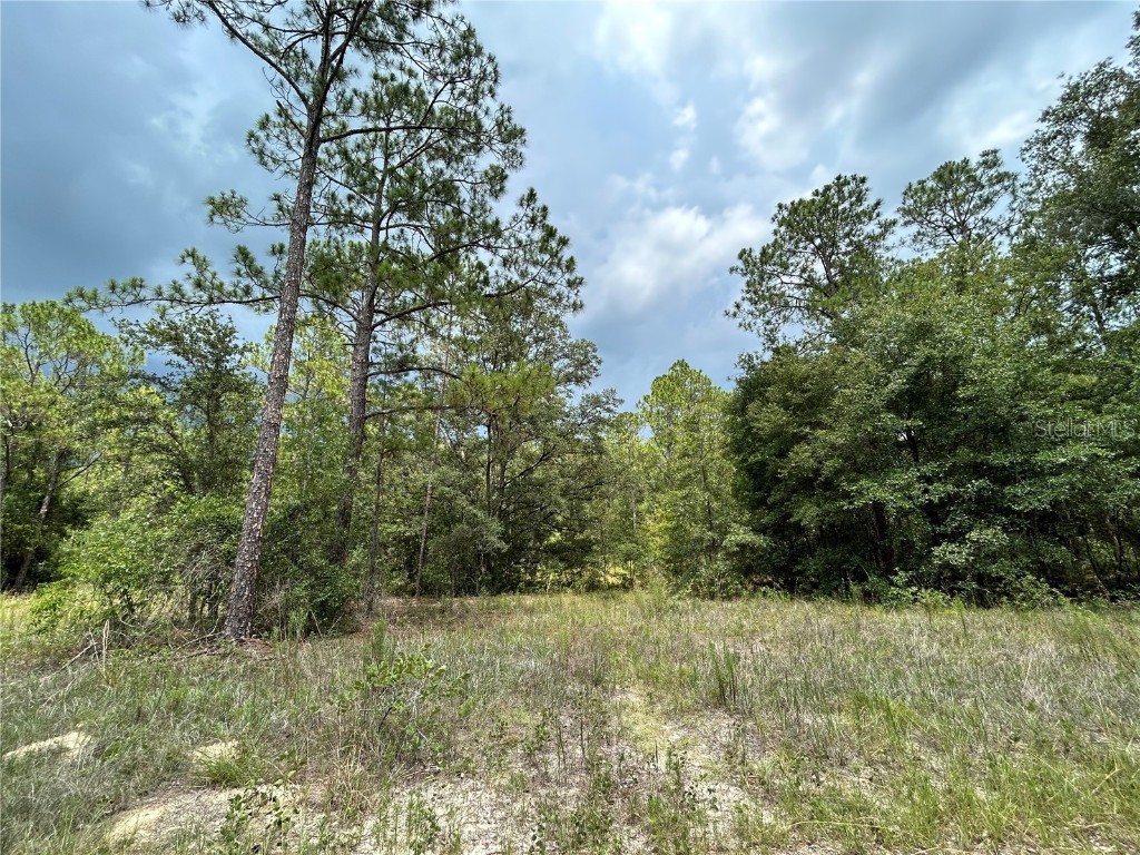 TBD SE 163rd Court Morriston FL 32668 OM660408 image1