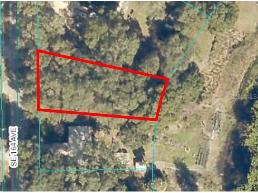 TBD SE 164th Avenue Ocklawaha FL 32179 - LAKE MOON OM696810 image1