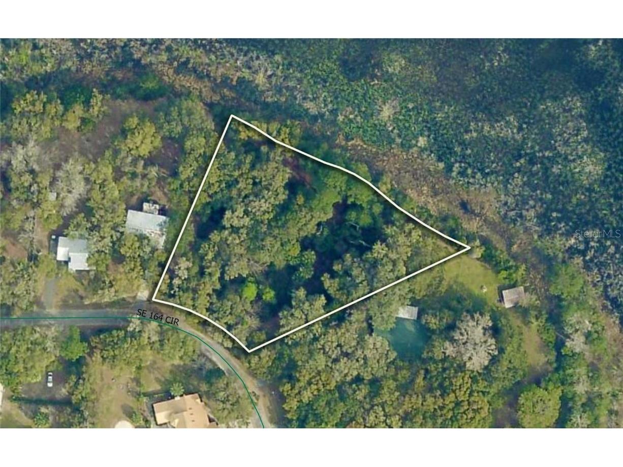 TBD SE 164th Circle Ocklawaha FL 32179 OM709024 image1