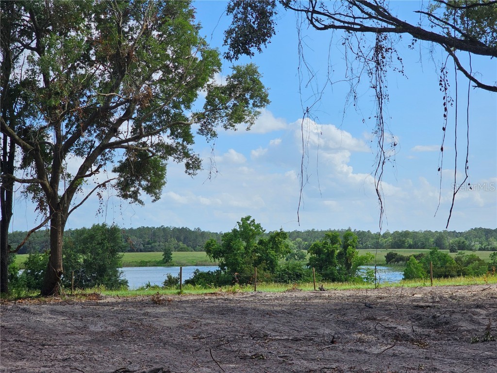 TBD SE 166 Ave Ocklawaha FL 32179 OM678809 image1