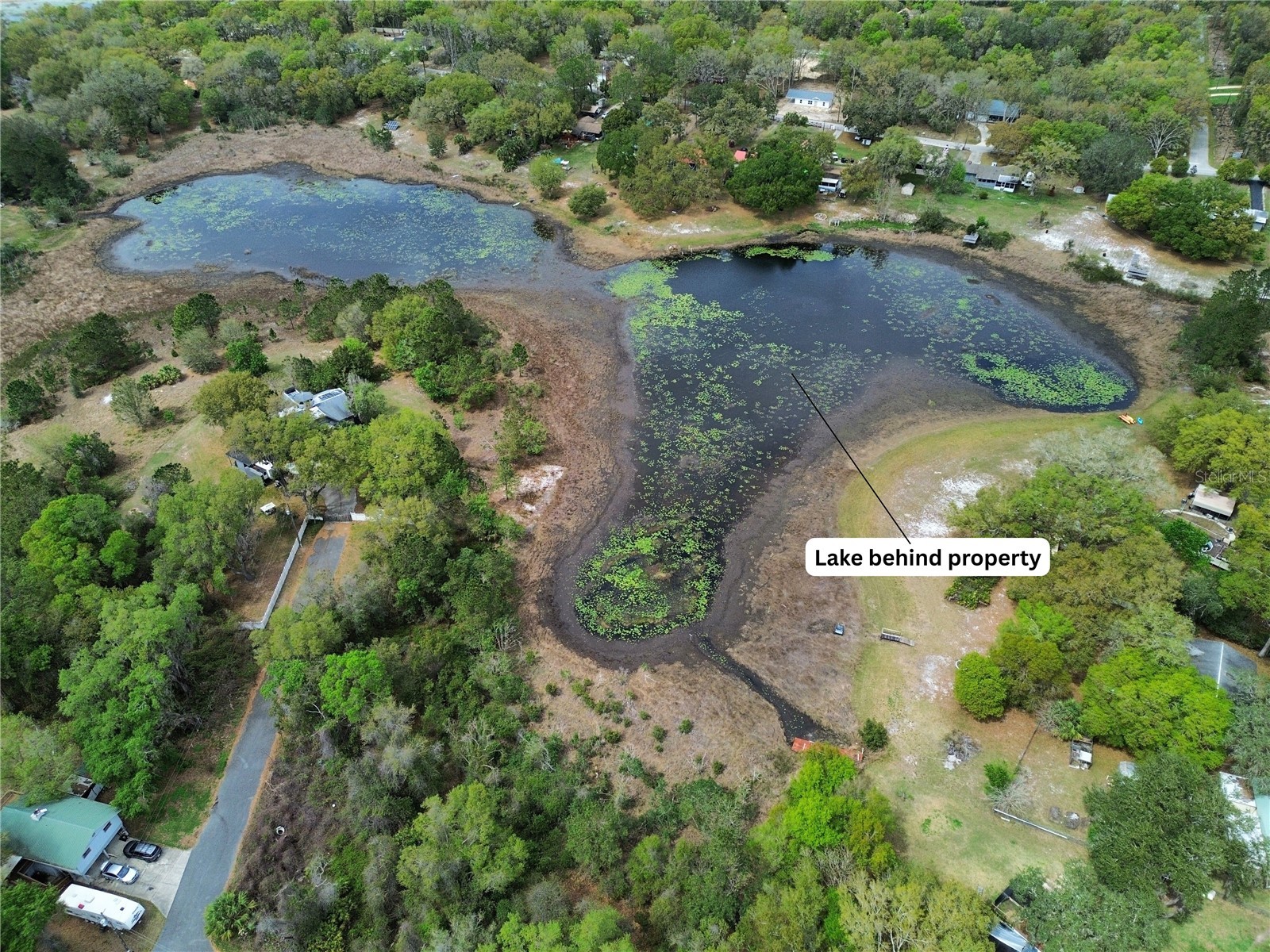 TBD SE 167th Ct Ocklawaha FL 32179 OM720887 image2
