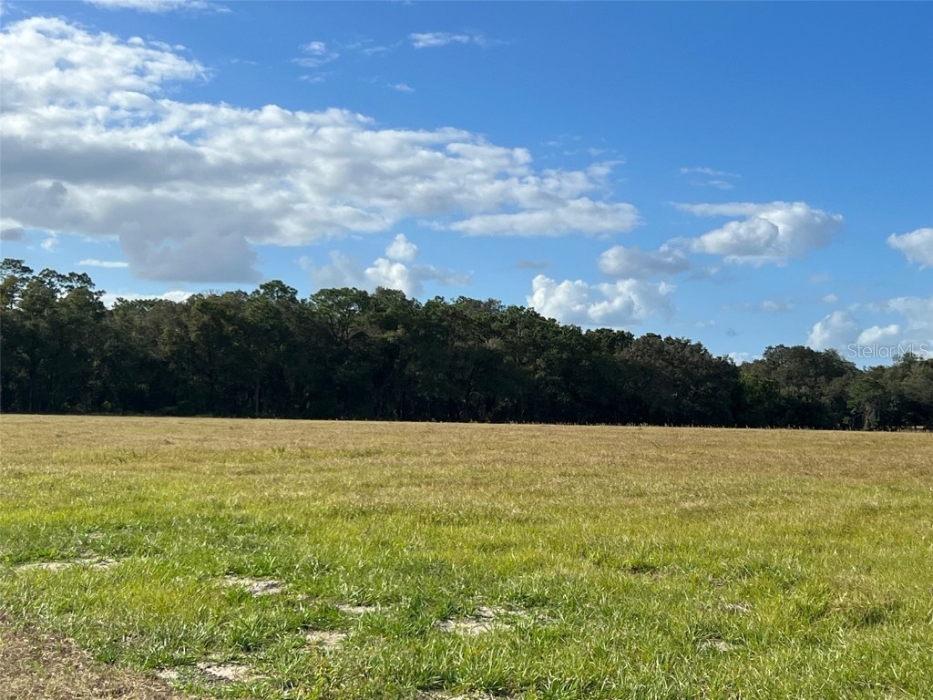 TBD SE 170 Ave Road #TRACT A Ocklawaha FL 32179 OM682162 image1