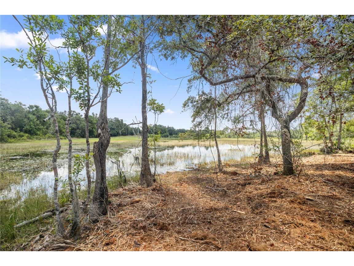 TBD SE 170th Ave Rd Ocklawaha FL 32183 - Lake Buckhorn OM674502 image1