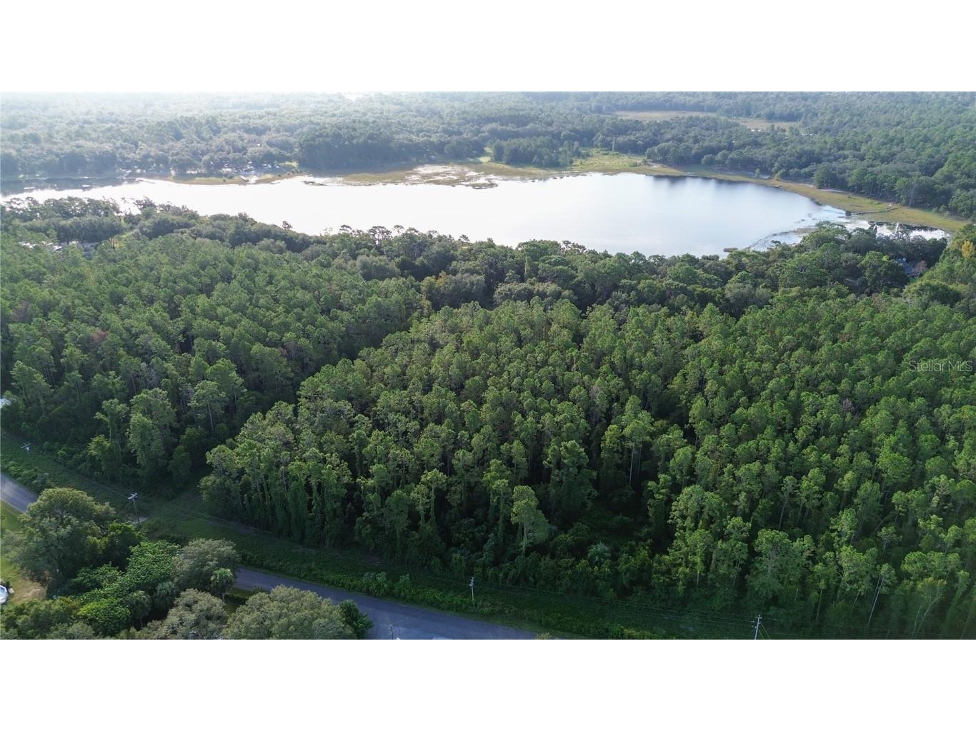 TBD SE 170th Avenue Ocklawaha FL 32179 - LAKE BESSIOLA OM709988 image1