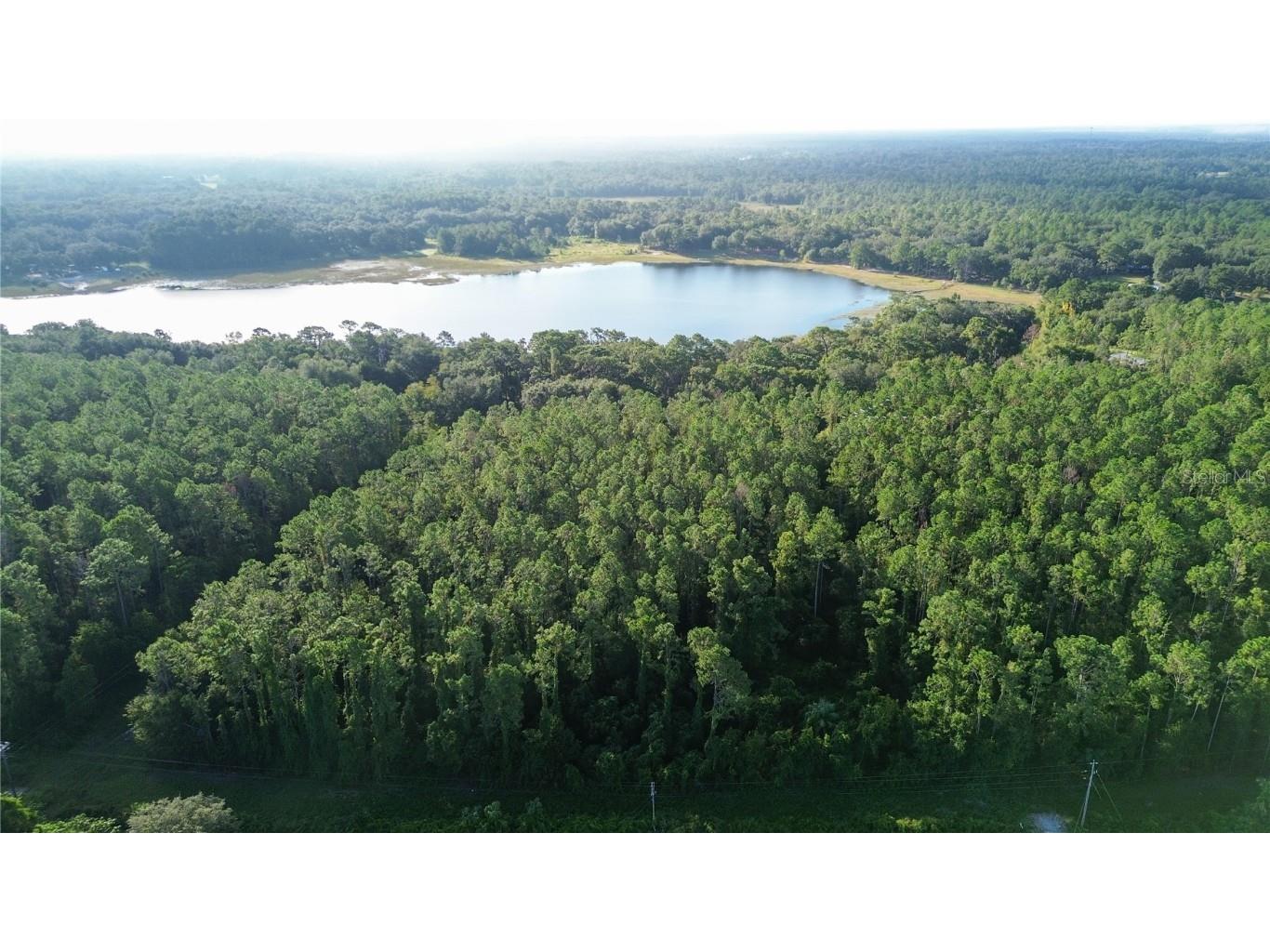 TBD SE 170th Avenue Ocklawaha FL 32179 - LAKE BESSIOLA OM709988 image2