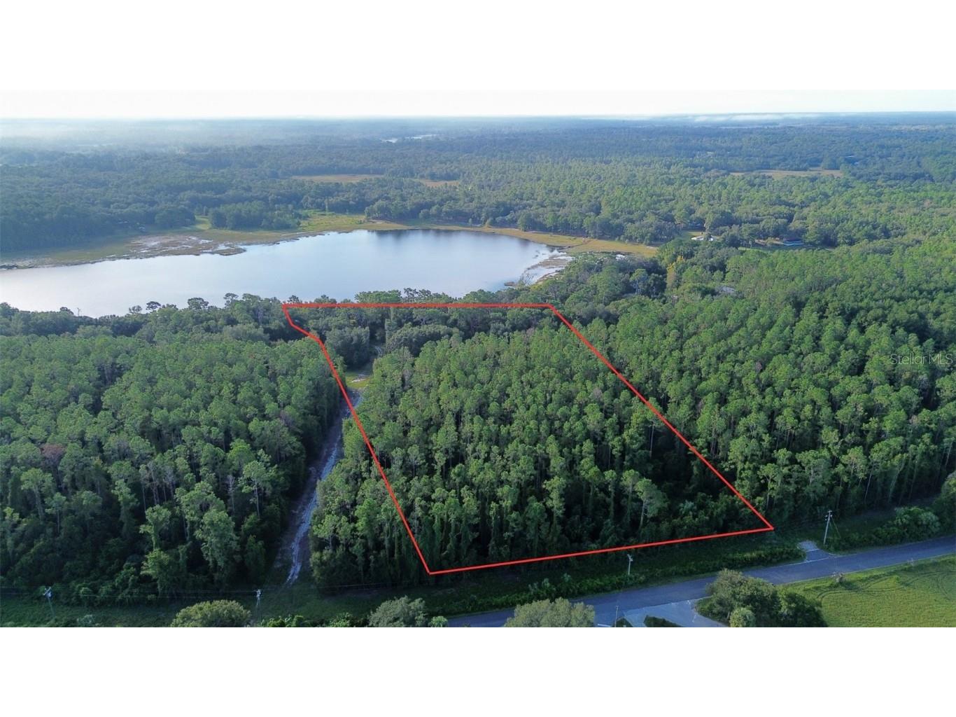 TBD SE 170th Avenue Ocklawaha FL 32179 - LAKE BESSIOLA OM709988 image3