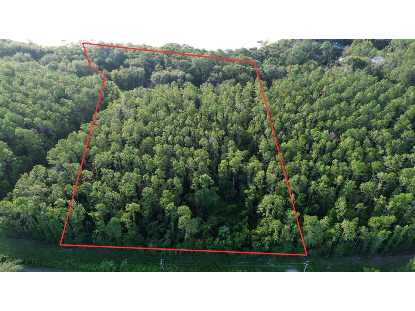 TBD SE 170th Avenue Ocklawaha FL 32179 - LAKE BESSIOLA OM709988 image4