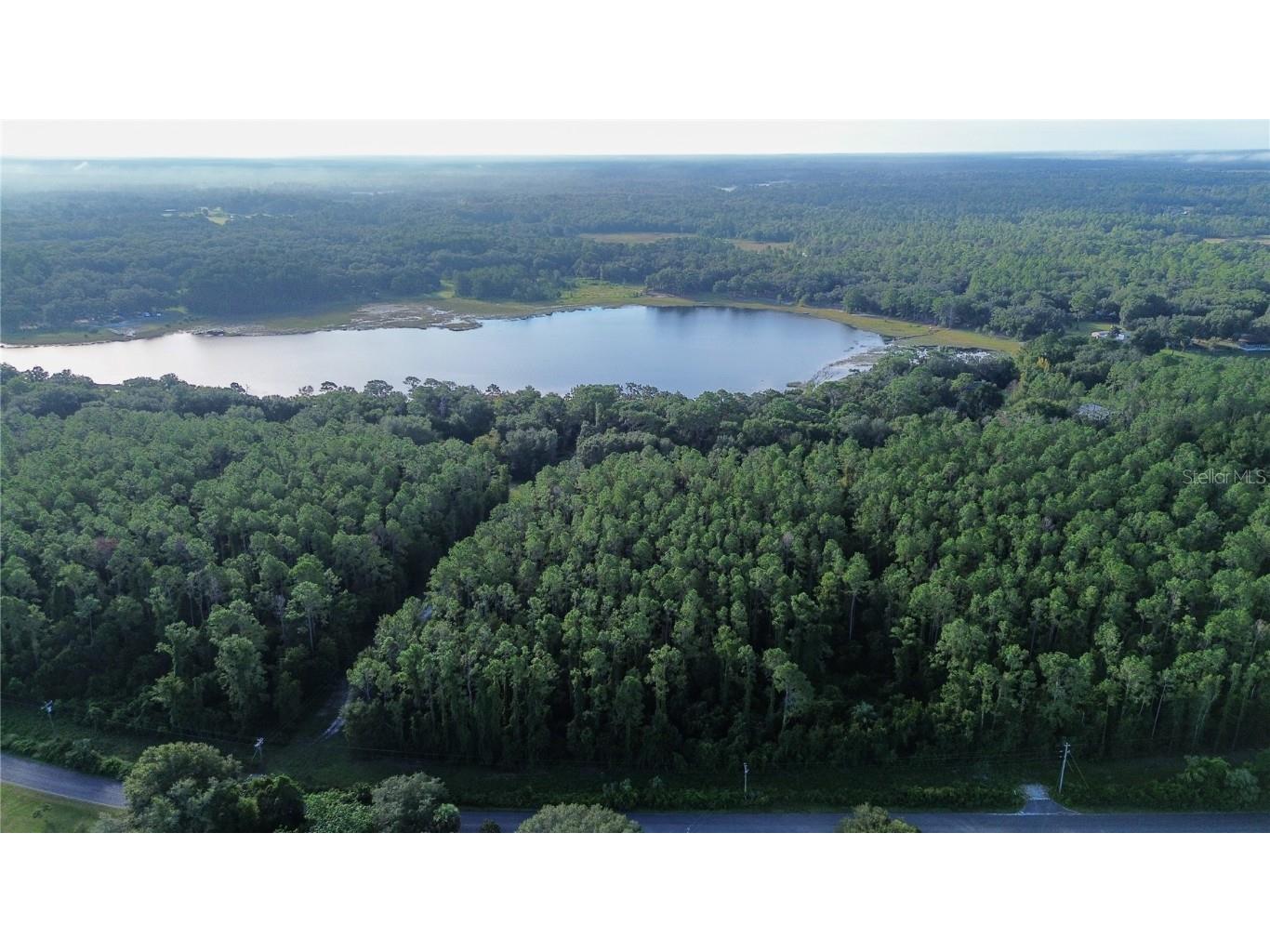 TBD SE 170th Avenue Ocklawaha FL 32179 - LAKE BESSIOLA OM709988 image5